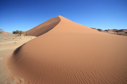 Auf der Fahrt ins Sossusvlei entdeckt.

Aufnameort: Richtung Sossusvlei - Namibia
Kamera: Canon 450D