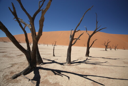 Vom Sossusvlei bin ich durch die Dünen ins Deadvlei gelaufen, um zu fotografieren.

Aufnameort: Deadvlei - Namibia
Kamera: Canon 450D