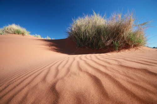 Entdecken von Details beim Wandern

Aufnameort: Namib Rand - Namibia
Kamera: Canon 450D