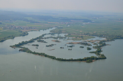 altmuhlsee-vogelinsel-10283.jpeg