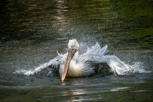 

Aufnameort: Grünau
Kamera: Nikon D 700