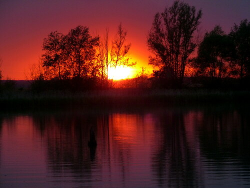 sonnenuntergang-am-altmuhlsee-10384.jpeg