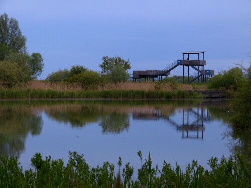 altmuhlsee-vogelbeobachtungsstation-10388.jpeg