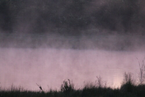 morgennebel-10621.jpeg