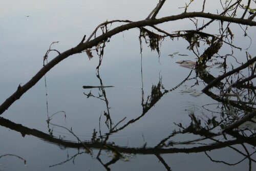 wasser-spiegel-10640.jpeg