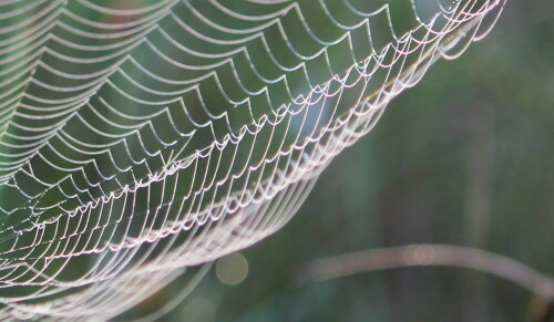 

Aufnameort: Kirchhain, Erlensee, 07.06.2014
Kamera: Canon EOS 600D 1/80; 4,0; 55,0,0mm; ISO 160