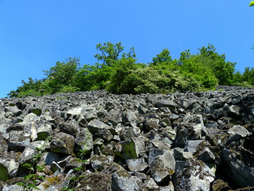 basaltblockmeer-am-rauhen-kulm-10702.jpeg