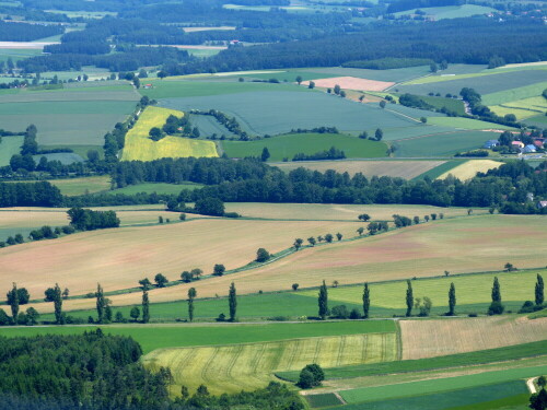 kulturlandschaft-nordlich-des-rauhen-kulm-10650.jpeg