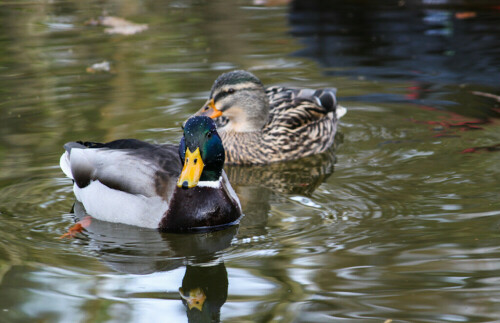 ...im botanischen Garten

Aufnameort: Freiburg im Breisgau
Kamera: EOS 500d