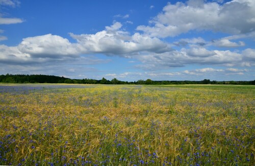 landschaft-bei-weidenbach-in-mittelfranken-10765.jpeg