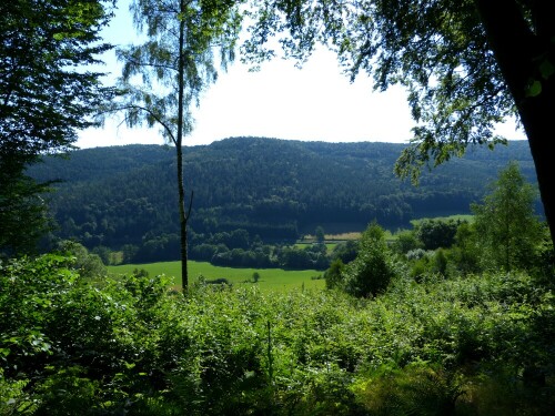 odenwald-bei-zittenfelden-10951.jpeg