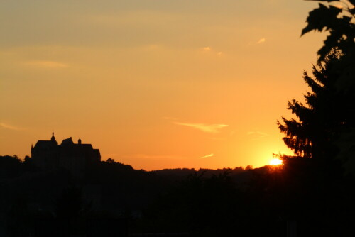 stein-und-baum-im-sonnenuntergang-11098.jpeg