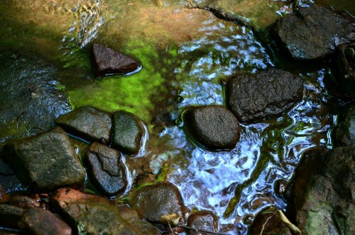 

Aufnameort: Seltenbachschlucht bei Klingenberg am Main
Kamera: Nikon D7000