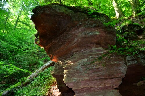 

Aufnameort: Seltenbachschlucht bei Klingenberg am Main
Kamera: Nikon D7000