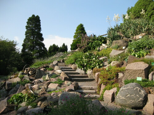 Alpen-Abteilung im Botanischen Garten in Kopenhagen

Aufnameort: Kopenhagen, Dänemark
