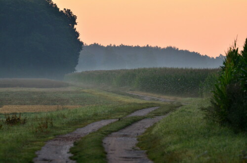 

Aufnameort: Weidenbach Mittelfranken
Kamera: Nikon D7000