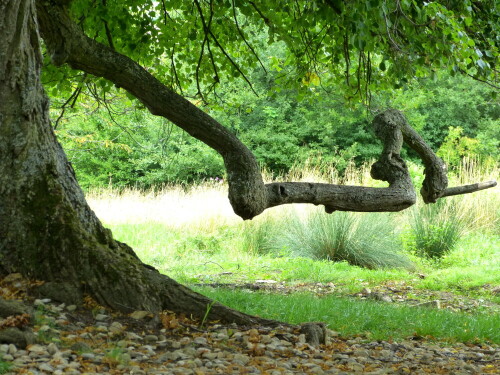 

Aufnameort: Markt Berolzheim Schafbrunnen
Kamera: Panasonic Lumix FZ150