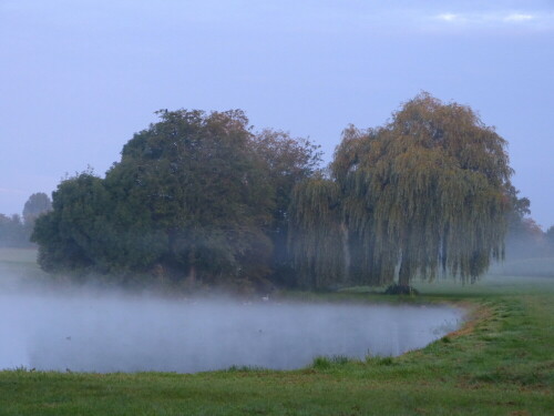 morgennebel-am-25-08-2014-11567.jpeg