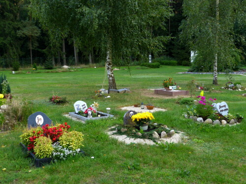 tierfriedhof-11732.jpeg