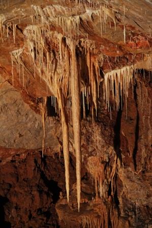 

Aufnameort: f grotte de dargilan
