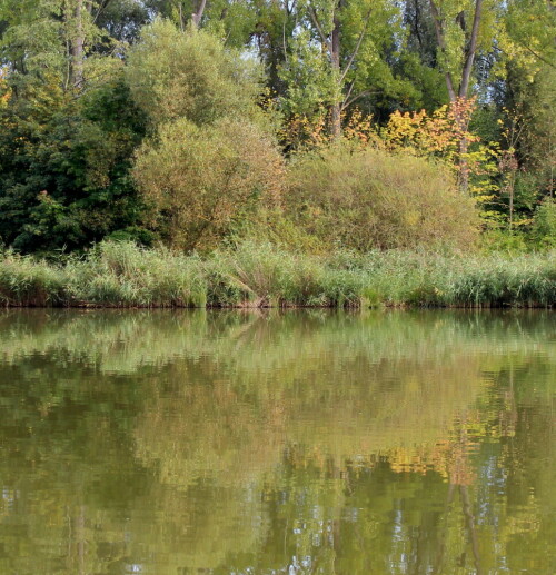 herbststimmung-gespiegelt-11996.jpeg