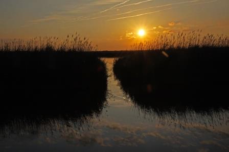 etang-in-der-camargue-12411.jpeg