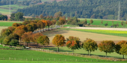 

Aufnameort: Burgwald, Mittelhessen, nahe Bottendorf 03.10.2014
Kamera: Canon Power Shot SX700, 1/200; 5,6; 32,4mm; ISO 100