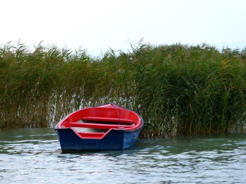 

Aufnameort: Balaton
Kamera: Panasonic Lumix FZ150