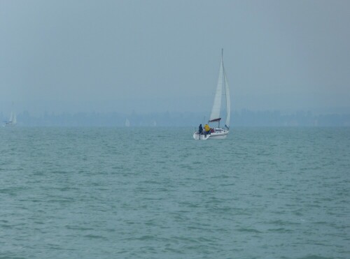 segeln-am-balaton-ungarn-12239.jpeg