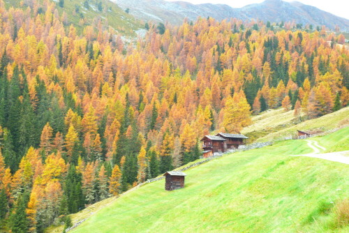 alte Ascht-Alm/Gsiesertal/Südtirol. Es war ein wundervolle
Stimmung. Das alte Gebäude und der herbstlich geschmückte Wald.

Aufnameort: Gsiesertal/Südtirol/Italien
Kamera: Lumix FZ48