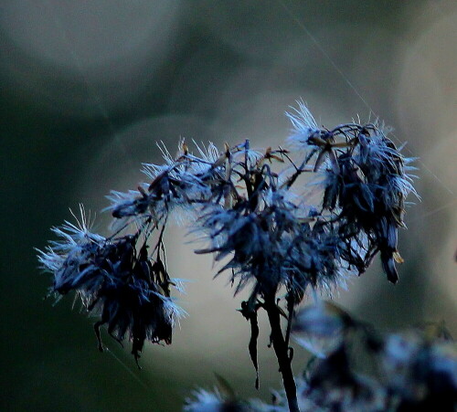 

Aufnameort: Lahnberge östlich von Marburg
Kamera: Canon EOS 600D, 1/200; 5,6; 131,0mm; ISO 400