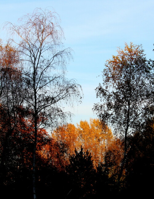 

Aufnameort: Lahnberge östlich von Marburg
Kamera: Canon EOS 600D, 1/225; 8,0; 55,0mm; ISO 100