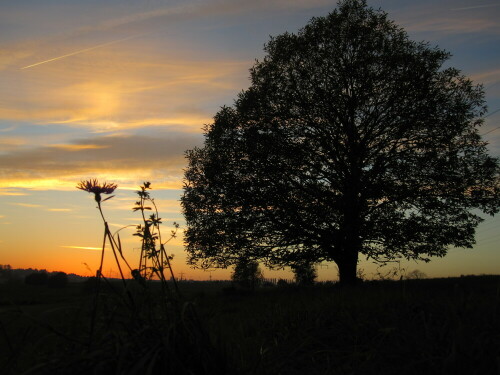 beim Abendspaziergang

Aufnameort: Pfinztal
Kamera: Canon Ixus100 IS