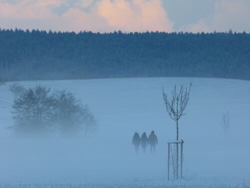 winterspazierganger-bei-herrieden-13276.jpeg