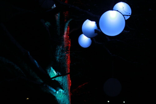 Installation zur Aktion Winterlicht im Frankfurter Palmengarten

Aufnameort: Frankfurt/Main, Palmengarten, 28.12.2014
Kamera: Canon EOS 600D, 1/50; 4,0; 55,0mm; ISO 800