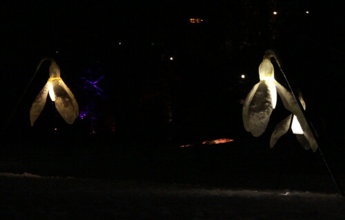 In der Aktion "Winterlicht" zeigt der Frankfurter Palmengarten vielerlei, z. T. bezaubernde Installationen aus Licht und Skulpturen, die Natur wird "märchenhaft" gedeutet und verändert.

Aufnameort: Frankfurt/Main, Palmengarten, 28.12.2014
Kamera: Canon EOS 600D, 1/80; 5,6; 55,0mm; ISO 3200