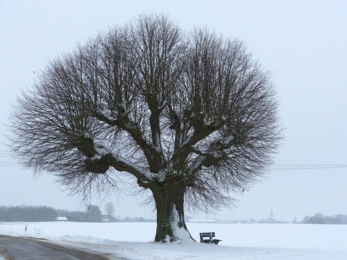 

Aufnameort: Weidenbach Mittelfranken
Kamera: Panasonic Lumix FZ150