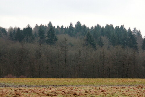 Abgeerntete Felder und Mischwald

Aufnameort: Marburg, Nähe Neuhöfe, 18.01.2015
Kamera: Canon EOS 600D, 1/250; 4,5; 79,0mm; ISO 800