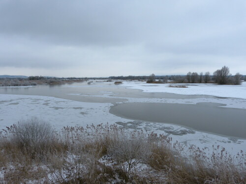 altmuhlsee-vogelinsel-winter-fernblick-13473.jpeg