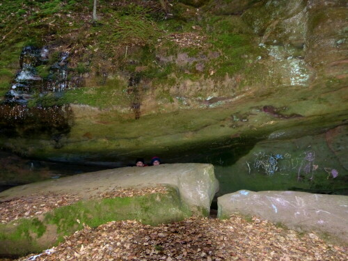 erdmannchen-in-der-schwarzachklamm-13533.jpeg