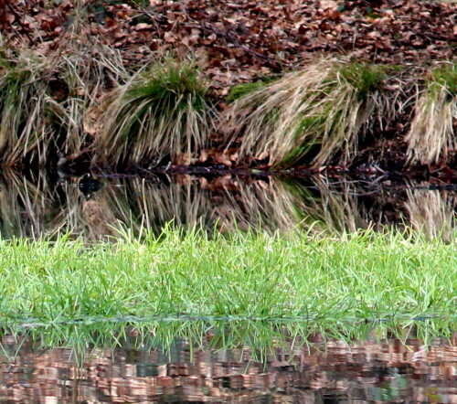 

Aufnameort: Schlosspark Rauischholzhausen, 08.03.2015
Kamera: CANON EOS 600D 1/400; 6,3; 250,0mm; ISO 800