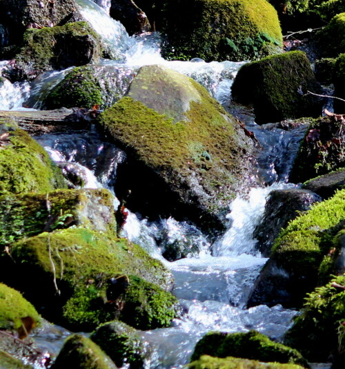 

Aufnameort: Schlosspark Rauischholzhausen, 08.03.2015
Kamera: Canon EOS 600D, 1/125; 5,6; 100,0mm; ISO 250