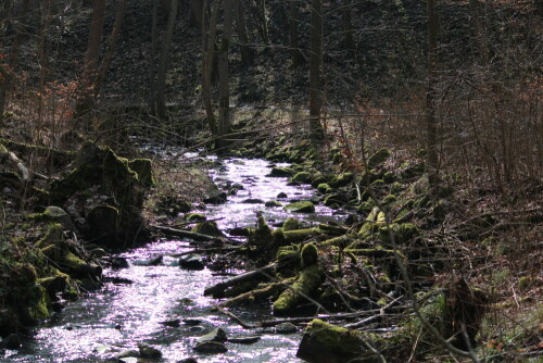 Im Gegenlicht wird die Wasserflut zur Lichtflut

Aufnameort: Schlosspark Rauischholzhausen, 08.03.2015
Kamera: Canon EOS 600D, 1/640; 4,0; 55,0mm; ISO 160