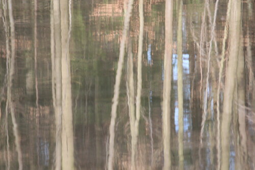 

Aufnameort: Schlosspark Rauischholzhausen, 08.03.2015
Kamera: CANON EOS 600D 1/400; 6,3; 250,0mm; ISO 400