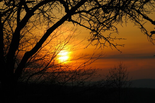 Sonnenuntergang in der Wetterau

Aufnameort: Wetterau - Stammheim
Kamera: Nikon D 3000