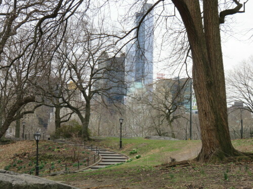 Von allen Seiten "brandet" die Silhouette New Yorks an den Central Park

Aufnameort: NY, Central Park, 08.04.2015
Kamera: Canon Power Shot XS700 1/400/4,0/10,6mm/ISO 200