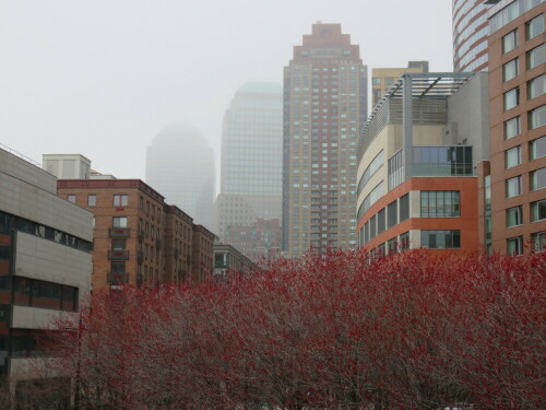 Natur und Architektur sind in New York überwiegend entmischt; dort, wo  sie sich verbinden, entstehen reizvolle Anblicke

Aufnameort: NY, 10.04.2015 nahe Battery Park
Kamera: Canon Power Shot XS700 1/400/4,0/11,4mm/ISO 200