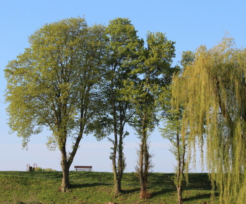 

Aufnameort: Deich bei Kirchhain-Niederwald, 02.05.2015
Kamera: Canon EOS 600D 1/200; 8,0; 55,0mm; ISO 100