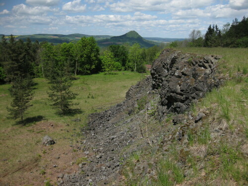 Ein Erinnerungsort des Naturschutzes in Deutschland: Ab 1913 wurde am Hohenstoffeln mit dem Abbau von Basalt begonnen; das Gestein  wurde über eine Seilbahn nach Mühlhausen zur Schwarzwaldbahn transportiert. Für den Erhalt der Hegau-Vulkane kämpfte der Arzt und Heimatdichter Ludwig Finckh.

Im Juni 1935 trat das neue Reichsnaturschutzgesetz in Kraft. Am 12.09.1935 erklärte Reichsforstmeister Hermann Göring den Hohenstoffeln zu einem der ersten deutschen Naturschutzgebiete; im Dezember 1938 verfügte Reichsinnenminister Heinrich Himmler die endgültige Stillllegung des Steinbruchs. (Für Menschen-Schutz sind die beiden grün-bewegten Nazis Göring und Himmler später nicht bekannt geworden.)

martin-ebner.net/topics/nature/umweltgeschichte/

Aufnameort: Hohenstoffeln (Hegau-Vulkan nördlich von Singen)
