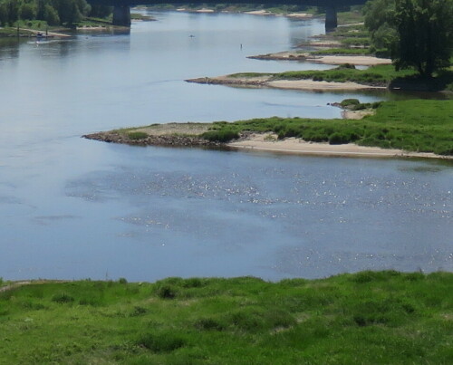 

Aufnameort: Magdeburg, 24.05.2015
Kamera: Canon Power Shot SX700 1/1250; 4,0; 4,5mm; ISO 160